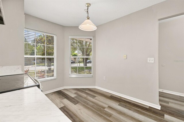 2146 Fish Eagle St, Clermont, FL 34714 - unfurnished dining area featuring wood finished floors and baseboards