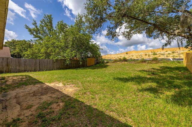 2146 Fish Eagle St, Clermont, FL 34714 - view of yard