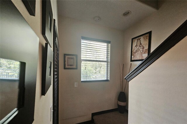 3162 Rodrick Cir, Orlando, FL 32824 - photo 23