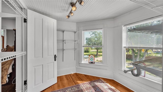 822 W Patterson St, Lakeland, FL 33803 - walk in closet featuring light wood-style floors