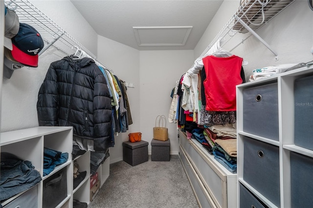 1719 Daystar Dr, Haines City, FL 33844 - spacious closet with attic access and carpet
