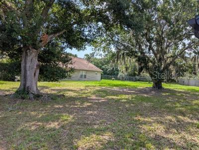 946 Delano Ct, Kissimmee, FL 34758 - view of grassy yard