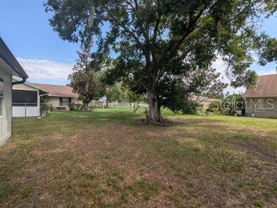 946 Delano Ct, Kissimmee, FL 34758 - view of grassy yard