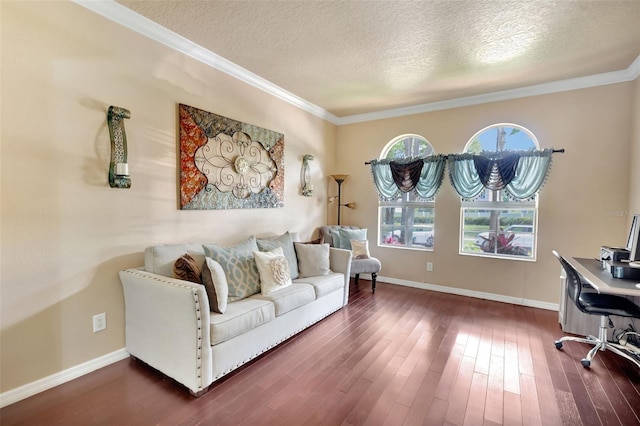 6932 Gray Catbird Loop, Wesley Chapel, FL 33545 - home office with a textured ceiling, dark wood finished floors, and crown molding