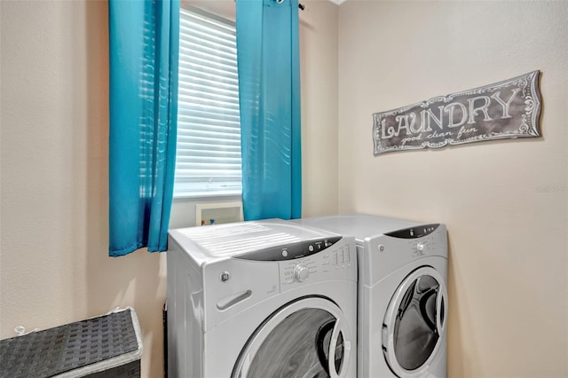6932 Gray Catbird Loop, Wesley Chapel, FL 33545 - laundry area featuring washer and clothes dryer and healthy amount of natural light