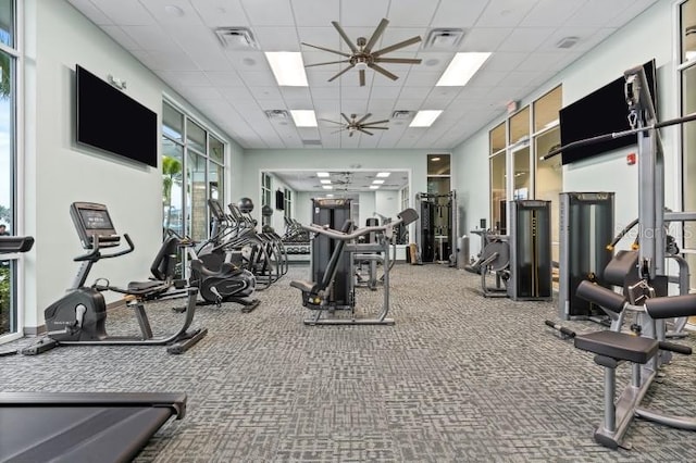 2176 Lelani Cir, Davenport, FL 33897 - gym with ceiling fan, a drop ceiling, and carpet