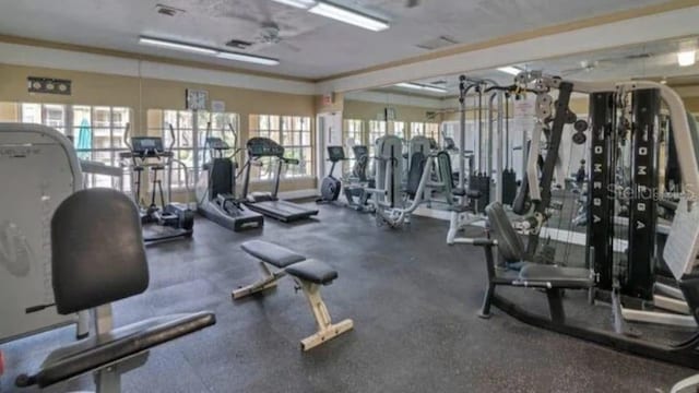 1023 S Hiawassee Rd Unit 4017, Orlando, FL 32835 - exercise room with healthy amount of natural light and ceiling fan