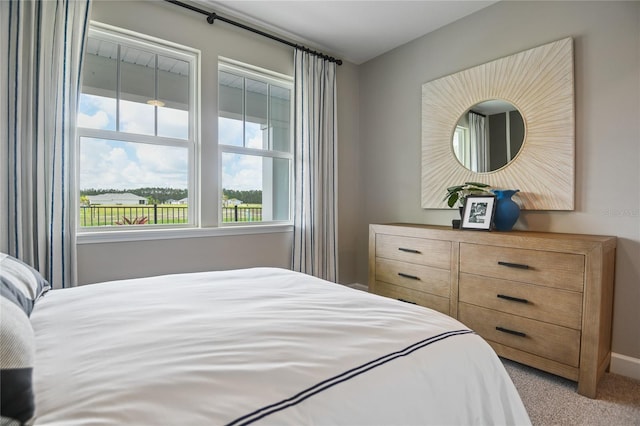 222 Thornberry Way, Palm Coast, FL 32164 - bedroom featuring carpet floors and baseboards