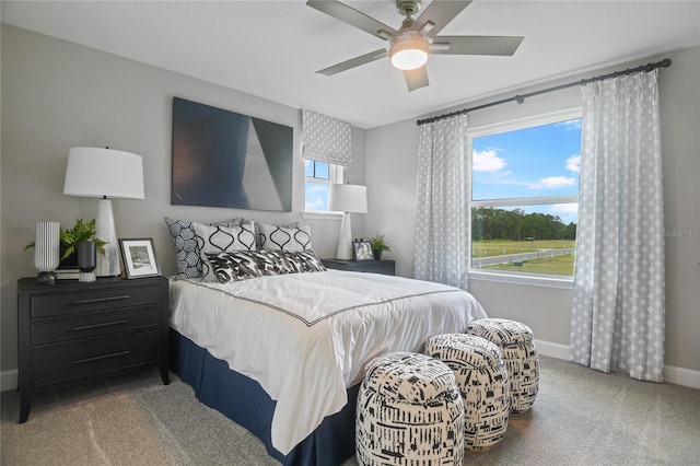 222 Thornberry Way, Palm Coast, FL 32164 - carpeted bedroom featuring multiple windows and ceiling fan