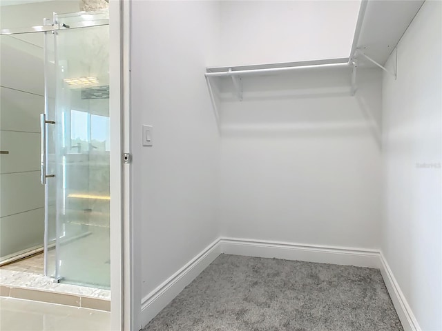 1870 Brentwood Ct, Davenport, FL 33837 - spacious closet featuring carpet