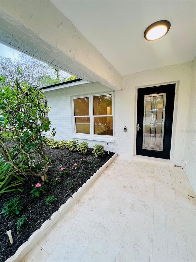 801 Leeward Way, Palm Harbor, FL 34685 - property entrance featuring a patio area and stucco siding