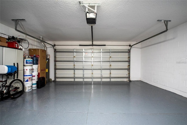 5231 Lemon Twist Ln, Windermere, FL 34786 - garage featuring a garage door opener and concrete block wall