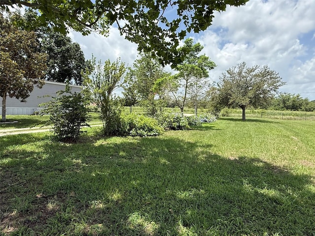15311 Johns Lake Rd, Clermont, FL 34711 - view of grassy yard