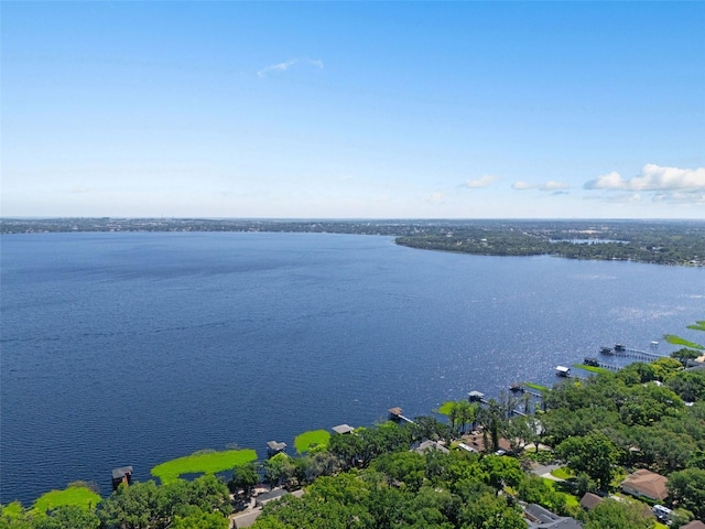 11951 Elbert St, Clermont, FL 34711 - water view