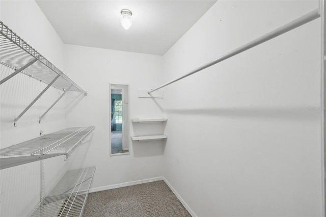 16 Pine Forest Dr, Haines City, FL 33844 - spacious closet with carpet flooring