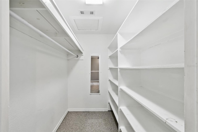 16 Pine Forest Dr, Haines City, FL 33844 - spacious closet featuring carpet floors