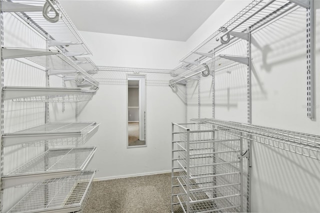 16 Pine Forest Dr, Haines City, FL 33844 - spacious closet with carpet