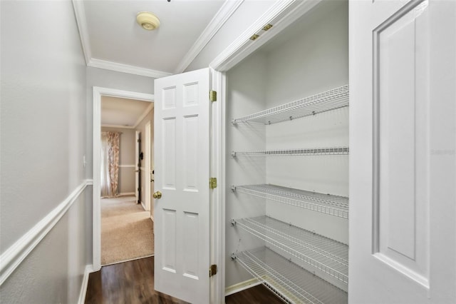 16 Pine Forest Dr, Haines City, FL 33844 - view of closet