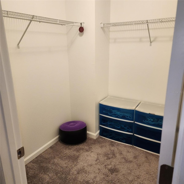 312 Lake Smart Cir, Winter Haven, FL 33881 - walk in closet featuring carpet