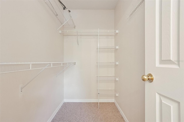 3038 Elbib Dr, Saint Cloud, FL 34769 - photo 22