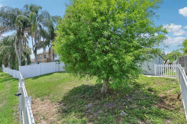 3038 Elbib Dr, Saint Cloud, FL 34769 - photo 47