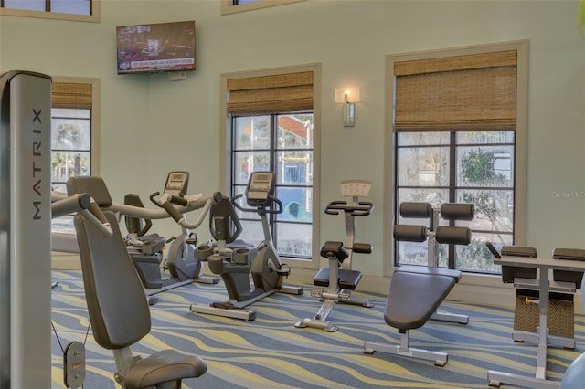 1565 Plunker Dr, Davenport, FL 33896 - workout area featuring carpet flooring