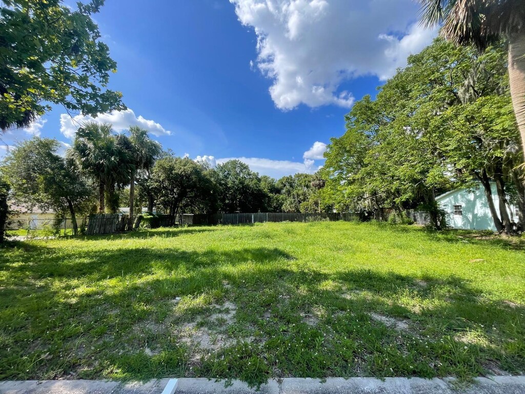 513 Lincoln Ave, Mount Dora, FL 32757 - photo 2
