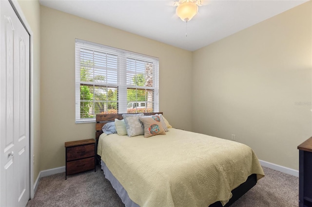 1353 Palmetto Dunes St, Davenport, FL 33836 - bedroom featuring carpet floors and a closet