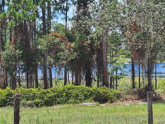 600 Lake Butler Ave, Osteen, FL 32764 - photo 60