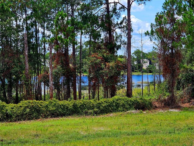 600 Lake Butler Ave, Osteen, FL 32764 - photo 53