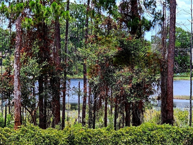 600 Lake Butler Ave, Osteen, FL 32764 - photo 59