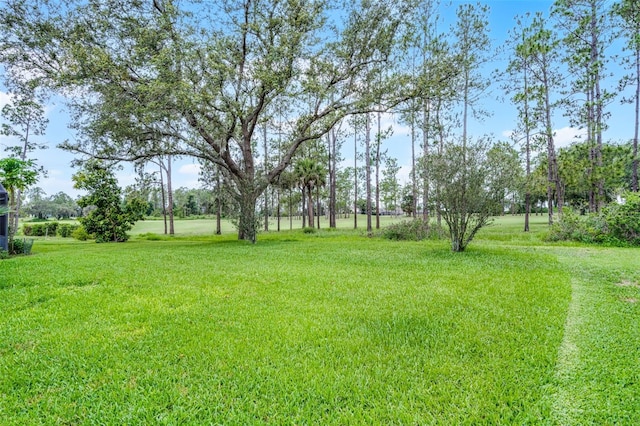 909 Troon Cir, Davenport, FL 33897 - view of green lawn