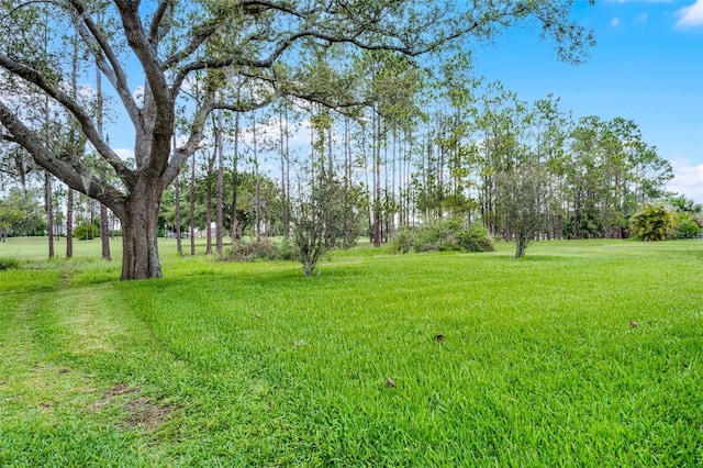 909 Troon Cir, Davenport, FL 33897 - view of grassy yard