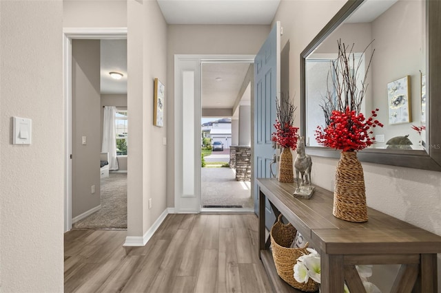 5133 Citrus Leaf Blvd, Winter Garden, FL 34787 - foyer featuring light wood-type flooring