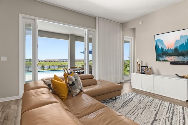 5133 Citrus Leaf Blvd, Winter Garden, FL 34787 - living room with wood finished floors and baseboards