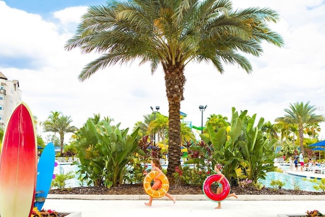 14501 Grove Resort Ave Unit 2534, Winter Garden, FL 34787 - view of play area