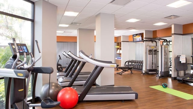 14501 Grove Resort Ave Unit 2534, Winter Garden, FL 34787 - exercise room featuring wood finished floors, plenty of natural light, and a drop ceiling
