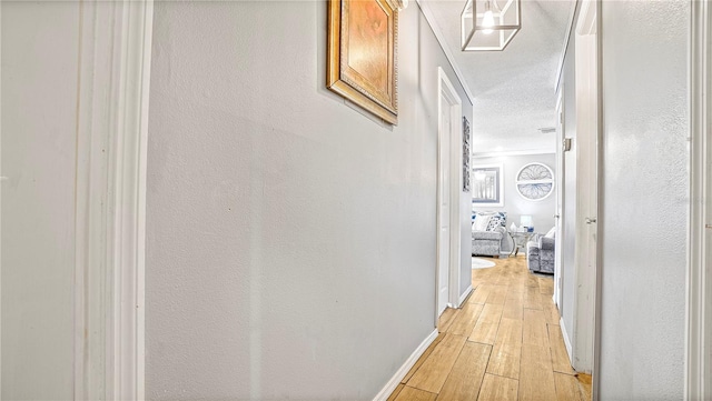 505 Oak Dr, Tavares, FL 32778 - hall with light wood-style flooring, a textured ceiling, and ornamental molding