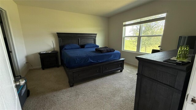 30346 Armenia Rd, Leesburg, FL 34748 - photo 14