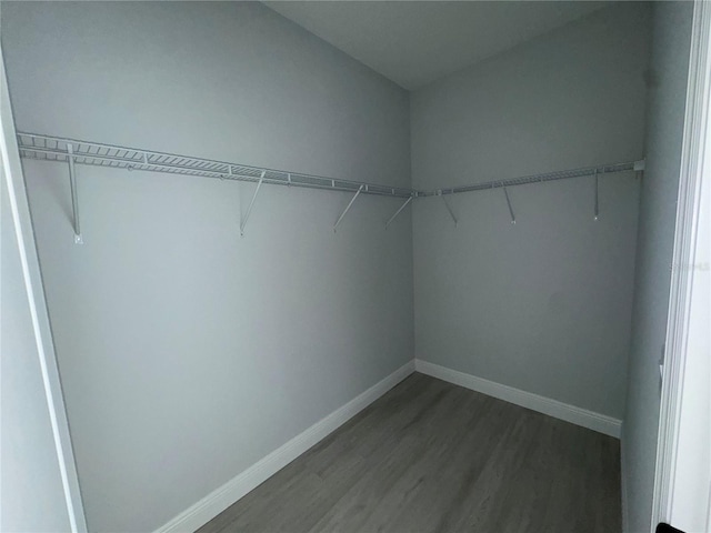 21 Pine Course Trak, Ocala, FL 34472 - walk in closet with wood finished floors