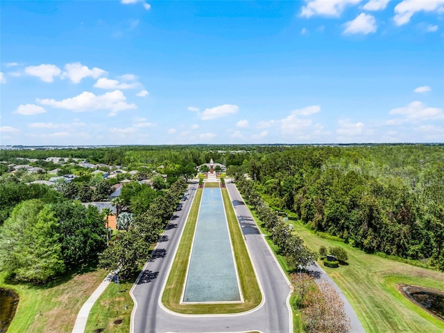8897 Rhodes St, Kissimmee, FL 34747 - aerial view of a forest