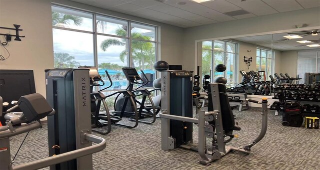 2161 Lelani Cir, Davenport, FL 33897 - workout area featuring carpet flooring and a ceiling fan