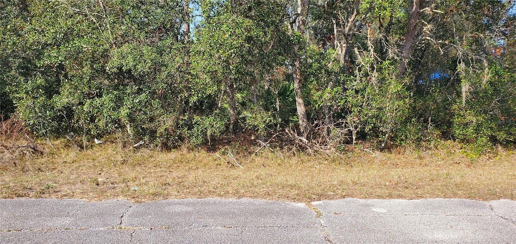 421 Naples Ct, Kissimmee, FL 34759