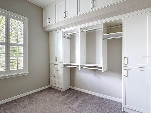 1513 Resolute St, Celebration, FL 34747 - view of closet