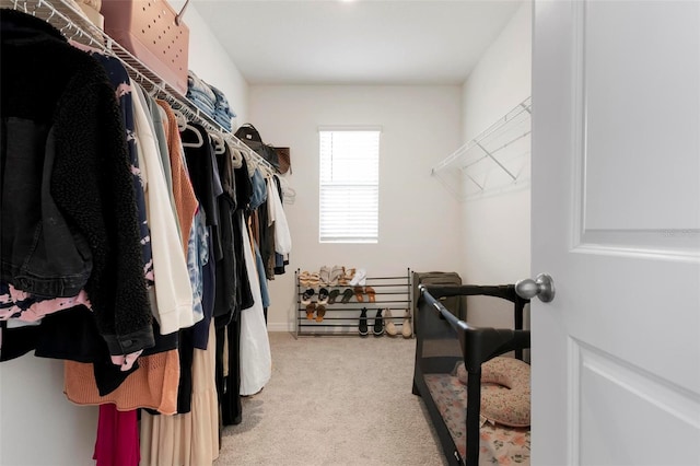 3255 Hilltop Cir, Bradenton, FL 34211 - walk in closet with light carpet