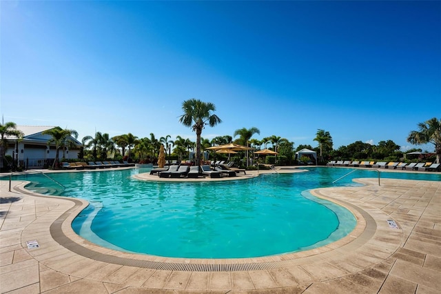 3255 Hilltop Cir, Bradenton, FL 34211 - community pool featuring a patio area