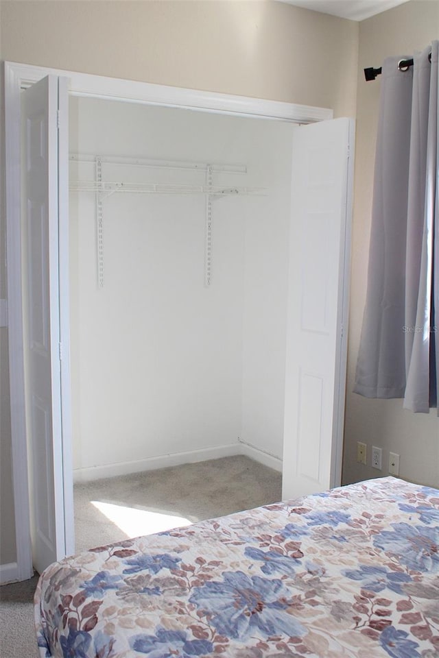 4151 Nelson Rd, Lake Wales, FL 33898 - bedroom with carpet and a closet