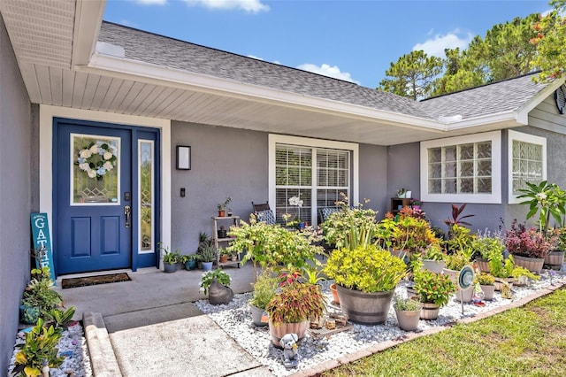 6396 Bennett Ct, Saint Cloud, FL 34771 - view of exterior entry with stucco siding and a shingled roof