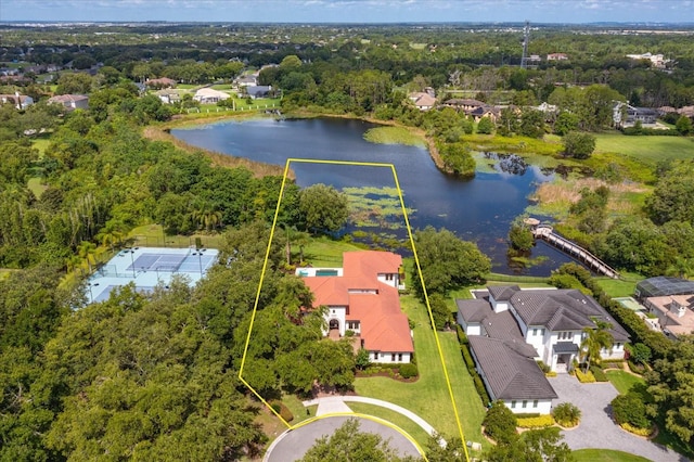 4224 Clarice Estates Dr, Windermere, FL 34786 - photo 59