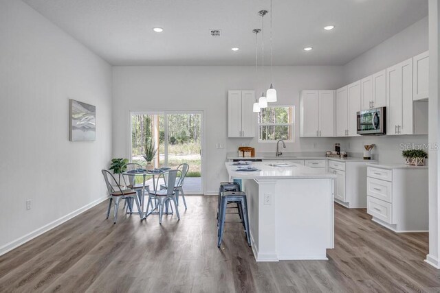 4410 Vicky St, Hastings, FL 32145 - kitchen with stainless steel microwave, healthy amount of natural light, light countertops, recessed lighting, and a kitchen island